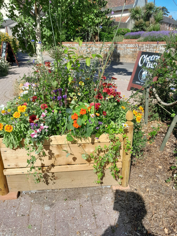 Bee Cafe