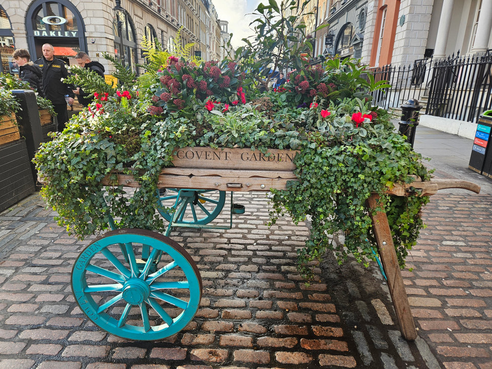 Covent Garden London Planter