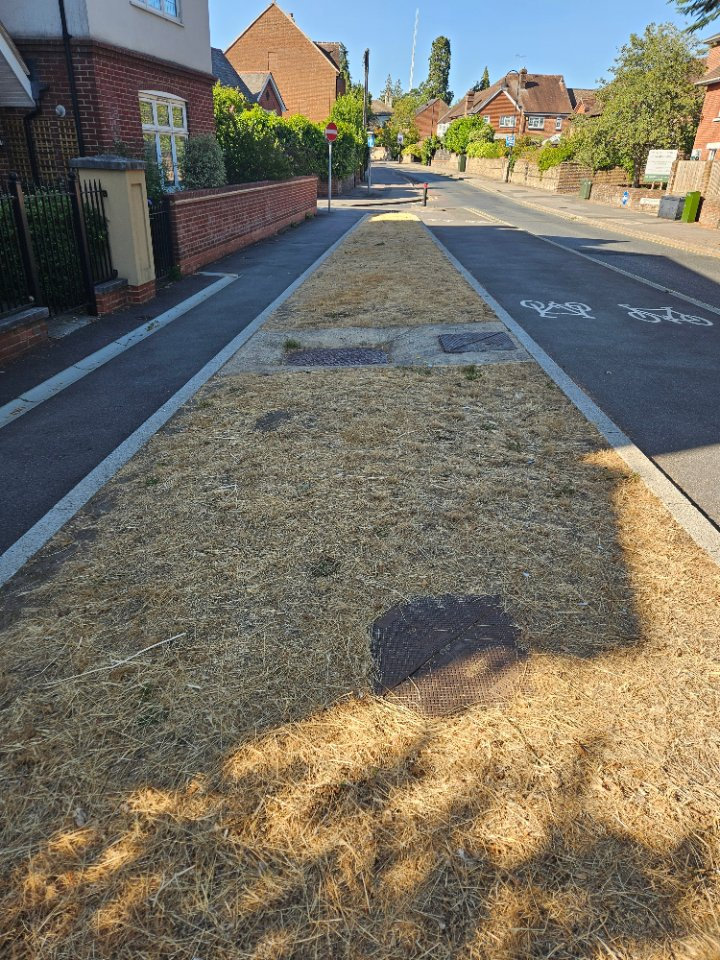 Verge At The Side Of A Road